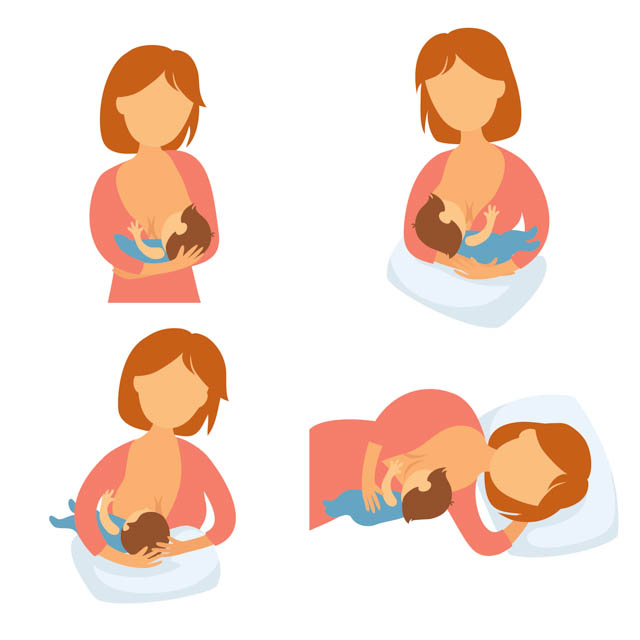 Breastfeeding Illustration